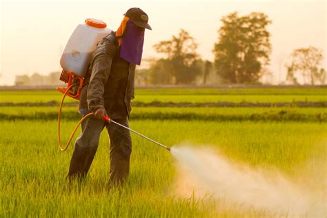 Monsanto Unleashes GMO Crop That Requires Toxic Unapproved Herbicide