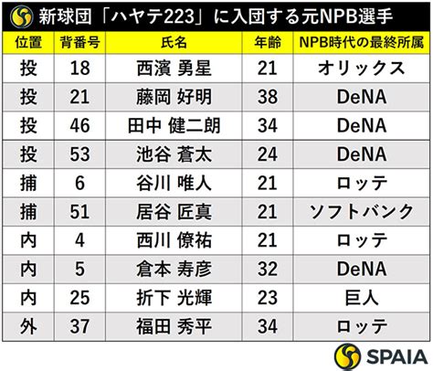 Npbファーム参戦「ハヤテ223」新入団選手 前ロッテ・福田秀平、元dena・倉本寿彦らnpb経験者は10名｜【spaia】スパイア