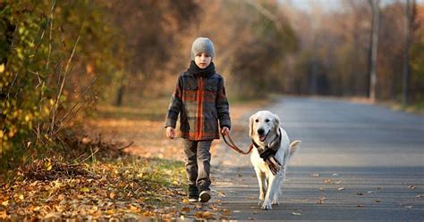 Chronicles of a Dog Trainer: Can my kids walk the dog alone?