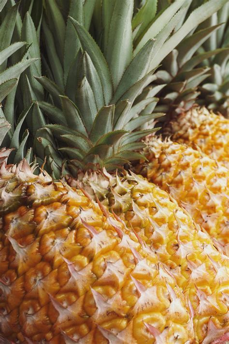 Green Pineapple · Free Stock Photo