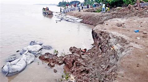 River Erosion Rises As Flood Water Recedes In Jamuna Bangladesh Post