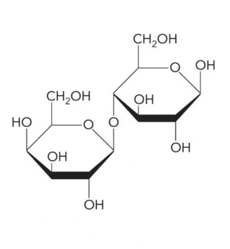 Biochem Exam Packet Flashcards Quizlet