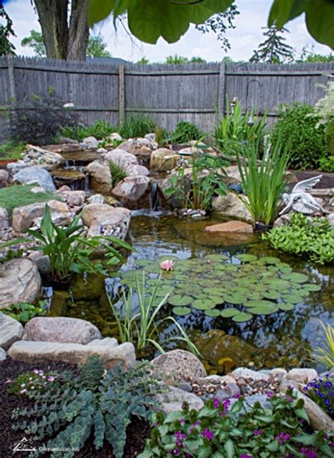 5 Tips for Picking Aquatic Plants | Pond Tip | AquaReale