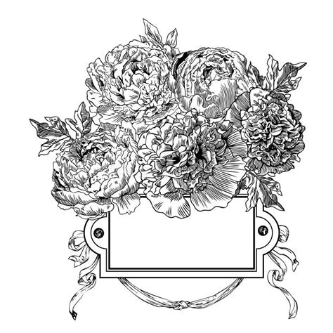 Peony Bouquet Vector Coloring Book Page For Adults Hand Drawn