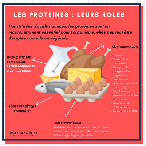 B A B A Nutrition les protéines