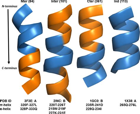 Dissecting πhelices sequence structure and function Kumar 2015