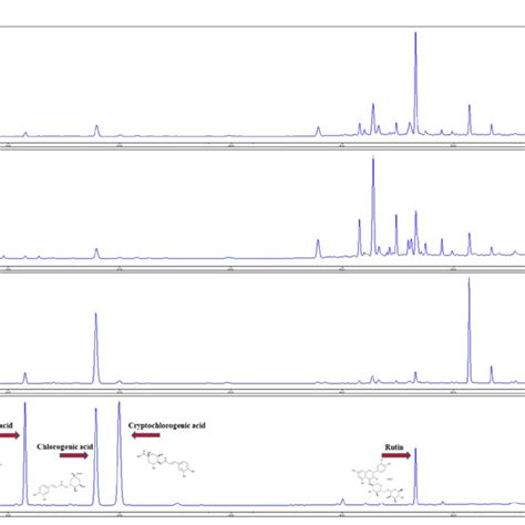 Hplc Chromatogram Of Plant Samples From Three Regions A Dmj B