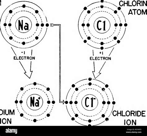 Bohr Model Elements 1 20