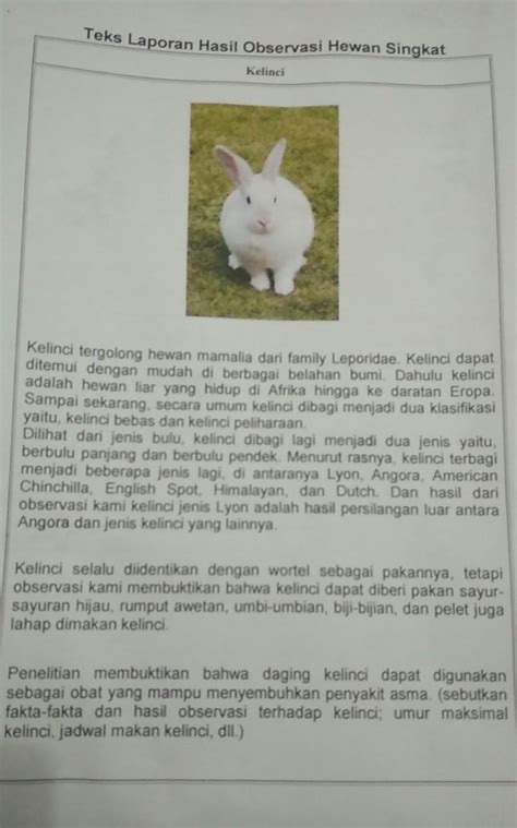 Contoh Teks Laporan Hasil Observasi Tentang Hewan Kucing Beserta