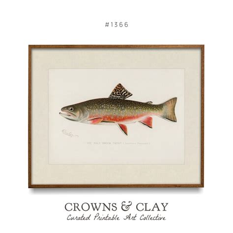 Brook Trout Painting Etsy