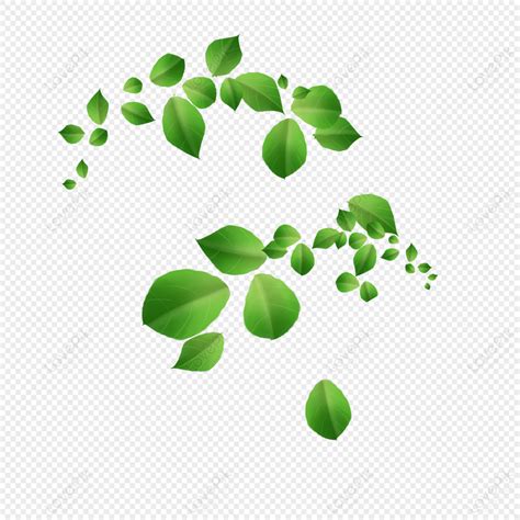 Cartoon Leaf Decorative Illustration Leaf Decoration Leaves