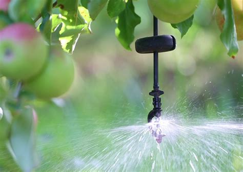 Micro Irrigation At A Glance Fresh Quarterly