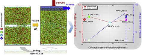 Insights On Low Friction Mechanism Of Amorphous Carbon Films From