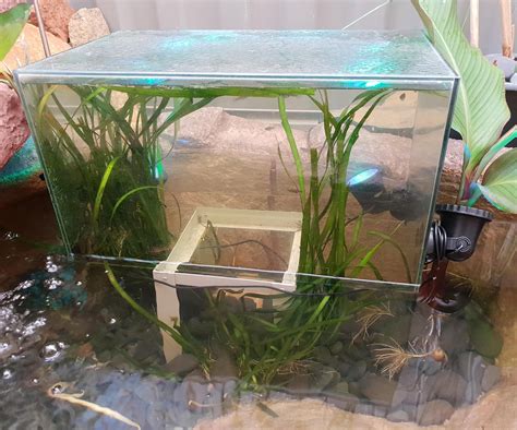 Inverted Fish Tank Tower 5 Steps With Pictures Instructables