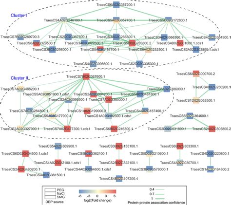 Protein Protein Interaction Network Of Differentially Expressed