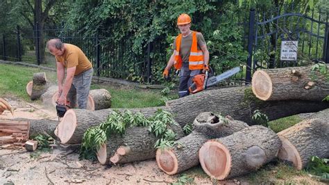 Armagedon Pogodowy W Pile Wichura W Pile Burza I Deszcz W Powiecie