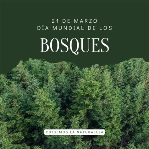 21 DE MARZO DÍA INTERNACIONAL DE LOS BOSQUES MatrizYa