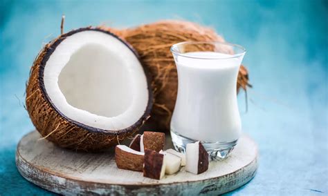 Is Coconut Milk Vegan? - The Coconut Mama