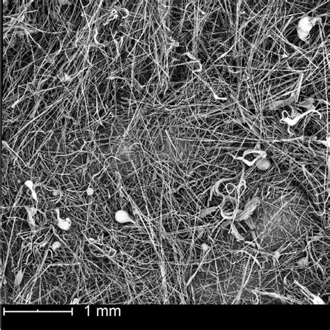 Representative Optical And Sem Images Of Demoliation Mineral Wool Waste