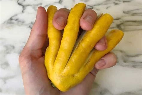 What Is Buddhas Hand Fruit And How Do You Eat It Superfoodly