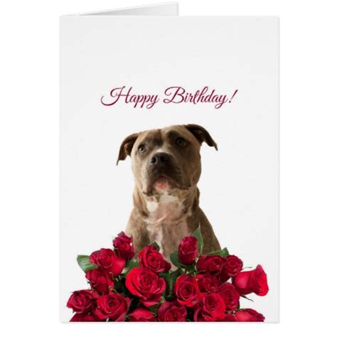 Cute Pit Bull Dog Roses Happy Birthday Card Zazzle