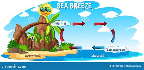 Diagrama De La Brisa Marina En El Océano Y La Tierra Ilustración del