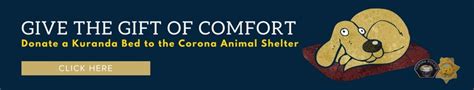 Animal Services & Enforcement | City of Corona