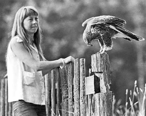 Simona Kossak la bruja animalista de los bosques de Białowieża