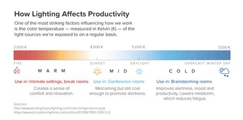 HOW LIGHTING AFFECTS THE PRODUCTIVITY OF YOUR WORKERS | MBA@UNC