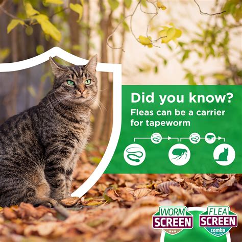 Mua WORM SCREEN Cat (2 tablets): Cat Worming Treatment - Veterinary