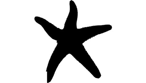 Starfish Png