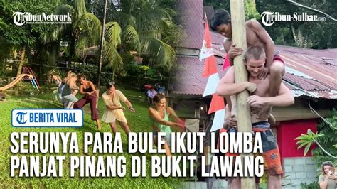 Serunya Para Bule Ikut Lomba Panjat Pinang Di Bukit Lawang Langsung