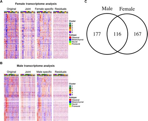 Sex Differences In GBM Revealed By Analysis Of Patient Imaging