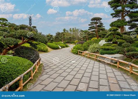 Plants and Scenery in a Beautiful Japanese Garden Stock Photo - Image of water, backyard: 288133632