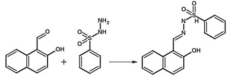 Scheme 1 Synthesis Of N 0 E 2 Hydroxynaphthalen 1 Yl Methylidene