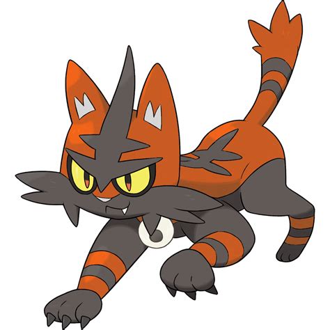 Fan-Shiny Torracat by Kostyurik on DeviantArt