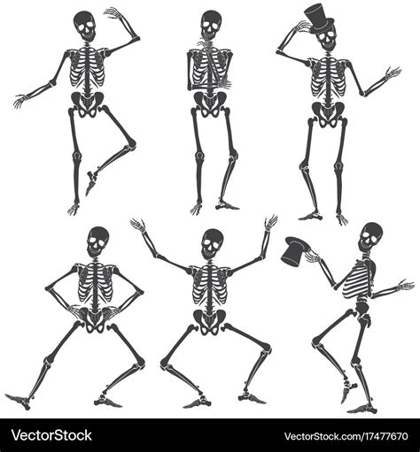 Human Skeleton Drawing Pose