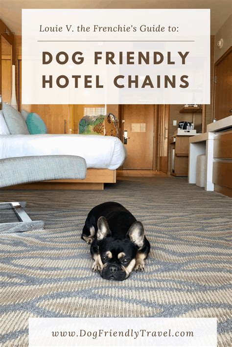 Dog Friendly Hotel Chains : DOG FRIENDLY TRAVEL