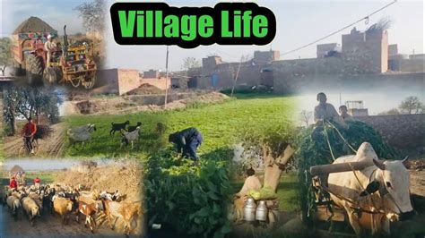 Village Life Ajj Gaon Ki Sair Ki Youtube