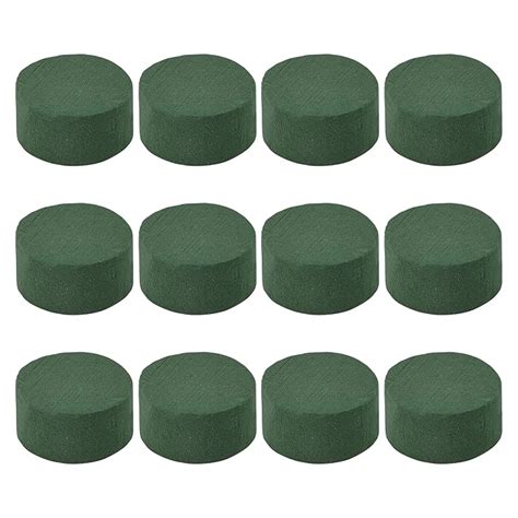 Buy Stoyrb 12pack Round Floral Foam Blocks 295in Diy Floral