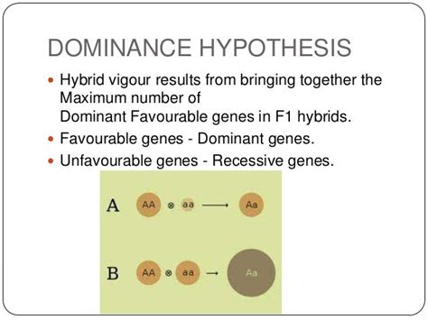 Plant Breeding Methods