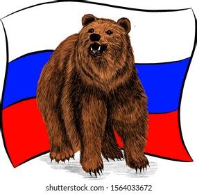 Flag Russia Brown Bear Symbol Stock Vector (Royalty Free) 1564033672 ...