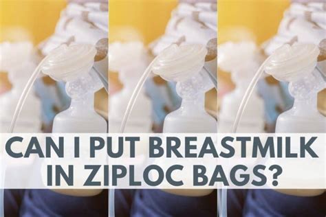 Can I Put Breastmilk In Ziploc Bags Arnienicola