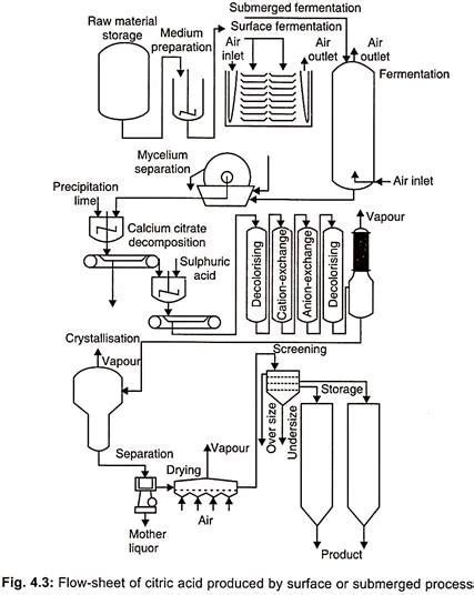 Citric Acid Production Biology Notes Online