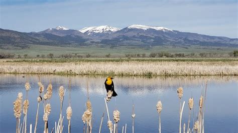 Monte Vista National Wildlife Refuge Updated 2021 All You Need To Know