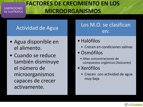 MICROBIOLOGÍA INDUSTRIAL DE PRODUCTOS LÁCTEOS ppt descargar