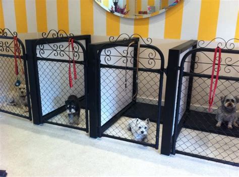 the dog house grooming parlour - As Wonderful Bloggers Sales Of Photos