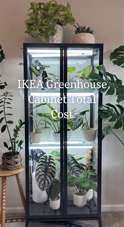 How much does it cost to set up an IKEA Greenhouse Cabinet (IKEA Milsbo ...