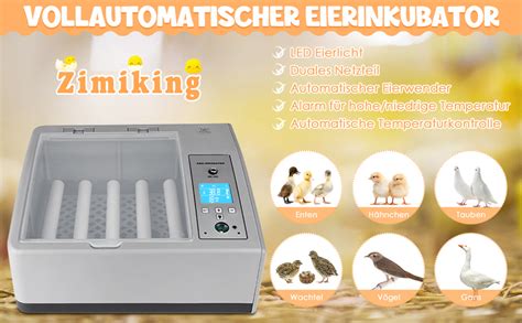 Zimiking Incubateur D œuf Couveuse Automatique 16 Oeufs Incubateur avec