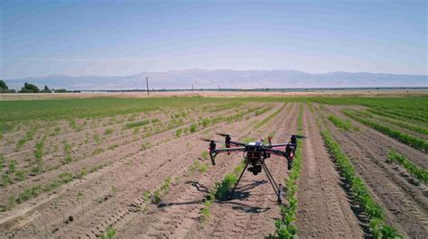 Premium Photo Drone Guided Planting Seeds Across The Field For